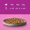 Whiskas Adult 1+ Pure Delight Geflügel Ragout in Gelee Produktbild-Vorschau 3