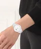 Nur Zeit Lacoste Weiß   Kollektion  - frau Produktbild-Vorschau 6