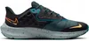 Chaussures Nike Air Zoom Pegasus 39 Shield DO7625300 Voir les images du produit 3