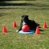 PROCYON Dog Golf Set Produktbild-Vorschau 2