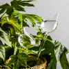Sfere di vetro per annaffiare le piante in vaso - A forma Anteprima dell’immagine prodotto 33