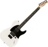 Fender Jim Root Telecaster Flat White Gitara elektryczna Podgląd zdjęcia produktu 1