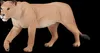 Mojo 387175 leonessa Animal Planet (1 pezzo) Anteprima dell’immagine prodotto 7
