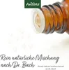 Aniforte Fiori di Bach n. 31 Vervain - 15 grammi Anteprima dell’immagine prodotto 8