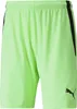 Puma Teamliga Shorts Kinder - Rot Produktbild-Vorschau 12