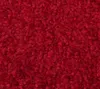 Mertex Schmutzfangmatte waschbar Kiel rot ca. 40 x 60 cm Produktbild-Vorschau 5
