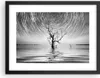 Gerahmtes Poster - Schwarzer Rahmen - Schwarzweiß Baum See Produktbild-Vorschau 1