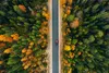 Muralo XXL Selbstklebende FOTOTAPETE Wald WEG Aussicht Produktbild-Vorschau 2