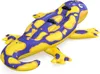 Bestway Bestway® Schwimmtier Splashing Salamander™ 191 x Produktbild-Vorschau 21