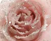 Kunstblumen Rose auf Clip 14cm rosa Produktbild-Vorschau 2