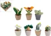 Take Me Home plyšová rastlina Sansevieria 12-17cm 660620 Náhľad obrázku produktu 1