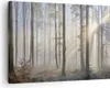Bild auf Leinwand - Leinwandbild - Wald Baum Natur - Produktbild-Vorschau 1