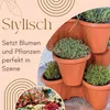 Pflanzturm Erdbeerturm 3er Set Säulentopf Stapelbar Produktbild-Vorschau 3