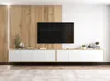 TV-Wandschrank TV-Schrank Fernsehschrank Apollo 2 Viertürig Produktbild-Vorschau 12