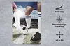 MuchoWow® Mauspad Mousepad Duell um den Ball 40x60 cm - Produktbild-Vorschau 2