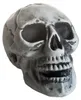 Preiswerter Totenschädel 24cm als Halloween Deko Produktbild-Vorschau 3