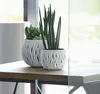 kvetináč 14,4cm BOWL SANDY DSK150-S449 biely plastový Náhľad obrázku produktu 3