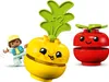 Stavebnica LEGO DUPLO Môj prvý traktor so zeleninou a Náhľad obrázku produktu 13