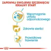 Diagram illustrating benefits of dog food for puppies. Produktbild-Vorschau