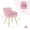 Collage of a pink velvet chair with gold legs, showing dimensions and weight capacity. Náhľad obrázku produktu