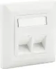 A white, two-port network data socket with a blank label area above the ports. Produktbild-Vorschau