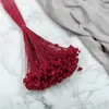Hill Blume - Rot Produktbild-Vorschau 5