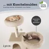 Lycce Kratzbaum groß, mehrstöckiger Katzenbaum inkl. 10 Produktbild-Vorschau 8