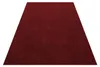 Ayyildiz Moderne en design vloerkleden Red 160x230 cm Productafbeelding-voorbeeld 5