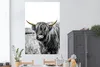 MuchoWow® Poster Schottisches Hochlandrind - Gras - Gold Produktbild-Vorschau 2