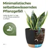 Bamworld 6er-Set Zimmerpflanzen-Topfregal mit Bewässerung, Produktbild-Vorschau 4