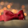 Hunter Halsband-Fliege Paris rot. Produktbild-Vorschau 3
