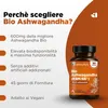 AshwagandhaKSM-66® 3600mg alto dosaggio per il Benessere Anteprima dell’immagine prodotto 6