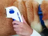 Elektrischer Flohkamm, dicht, für Hunde und Katzen Produktbild-Vorschau 4