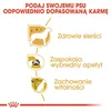 Royal Canin Yorkshire Terrier Adult, Dospelý, Jorkšírsky Náhľad obrázku produktu 2