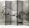 5-teiliger Einseitiger Vlies Paravent - Wild Stallion II Produktbild-Vorschau 1