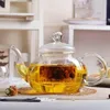 Teiera Wilmax da 1200 ml in vetro termico con filtro in Anteprima dell’immagine prodotto 2
