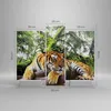 Bild auf Leinwand - Leinwandbild - 3 Teile - Tiger Produktbild-Vorschau 3