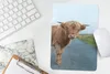 MuchoWow® Mauspad Mousepad Scottish Highlander - Straße - Produktbild-Vorschau 5