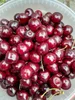 A close-up view of a bowl filled with fresh cherries. Produktbild-Vorschau