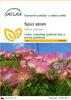 SAFLAX - spící strom - Albizia julibrissin - 50 Semena Náhled obrázku produktu 1
