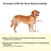 Mucola Hundetransportbox faltbar Transportbox Produktbild-Vorschau 4