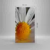 Bild auf Leinwand - Leinwandbild - Kraut Kamille Blume Produktbild-Vorschau 3