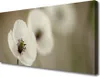 Tulup Leinwand-Bilder 100x50 Wandbild Canvas Kunstdruck Produktbild-Vorschau 1