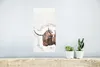 MuchoWow® Poster Scottish Highlander - Tiere - Produktbild-Vorschau 5