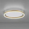 Stropní svítidlo LED, matná mosaz, stmívatelné, D 39,3 cm Náhled obrázku produktu 11