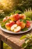 Apfelbaum Elstar 100–120 cm Halbstamm im Topf – Malus Produktbild-Vorschau 2