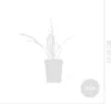 Bloomique - Zestaw 6 szt. - Hemerocallis Stella De Oro - Podgląd zdjęcia produktu 7