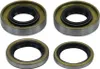 Set di paraolio motore per motore Sachs 50S 501 50SW 50/6 Anteprima dell’immagine prodotto 1
