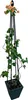 Stütze Strend Pro, für Pflanzen, 4-beinig, 150 cm Produktbild-Vorschau 2