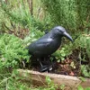 Esschert Design Vogelschreck Krähe; FY18 Produktbild-Vorschau 18